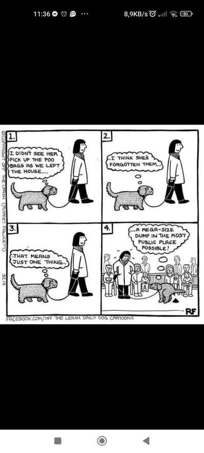 Hunde Memes-Beitrag-Bild