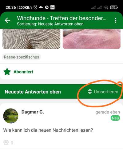Windhunde - Treffen der besonderen Schönheiten
HERZLICH WILLKOMMEN-Beitrag-Bild