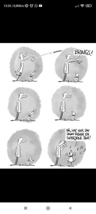 Hunde Memes-Beitrag-Bild