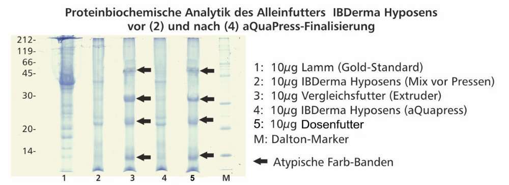 Gutes Trockenfutter mit hohem Fleischanteil-Beitrag-Bild
