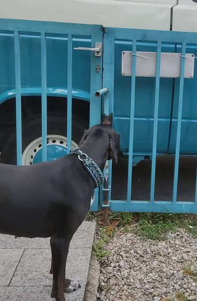 23. Farben / Fotochallenge - Türkis --Beitrag-Bild