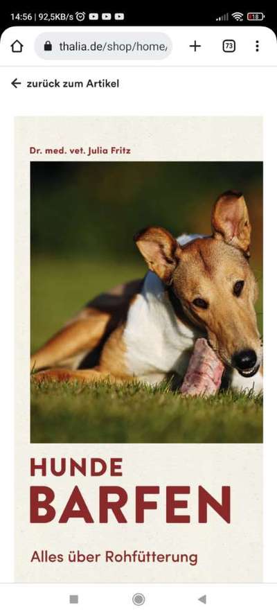 Ernährung bei Allergien-Beitrag-Bild