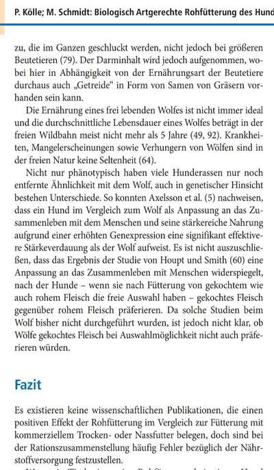 Studien zum Thema Unterschied Hund vs. Wolf-Beitrag-Bild