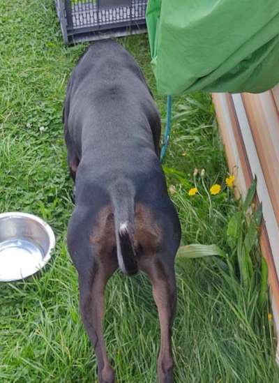 Rund um die Ernährung-Beitrag-Bild
