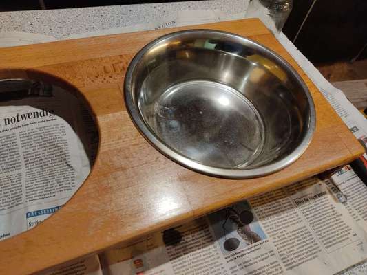 Hundebar - Futterbar-Beitrag-Bild