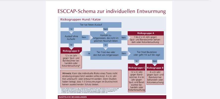 Entwurmung - Mäuse fangen-Beitrag-Bild