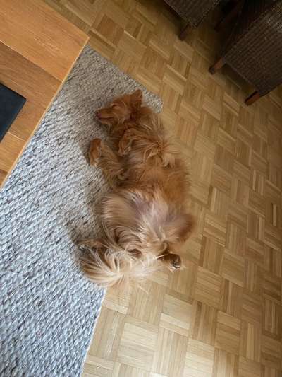 Foto Challenge - Zeigt her eure Bäuche-Beitrag-Bild