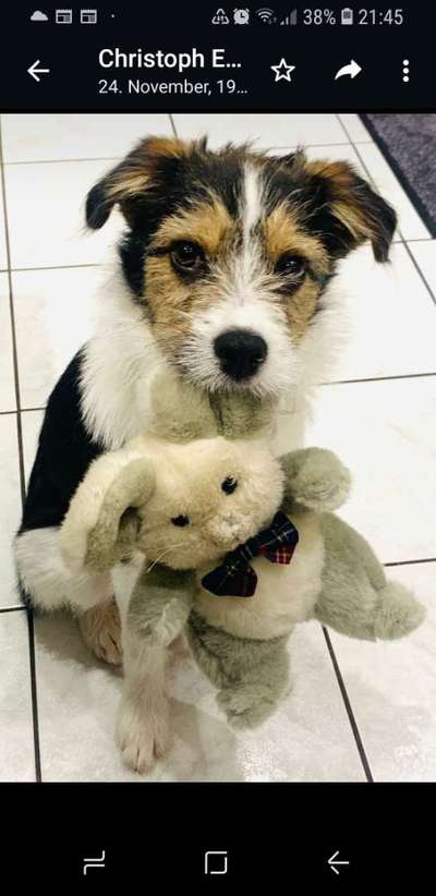 Fotochallenge Nr. 67: Euer Lieblingsbild-Beitrag-Bild