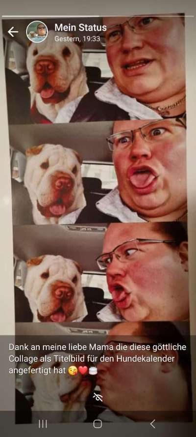 Fotochallenge 113: Auf frsicher Tat ertappt-Beitrag-Bild