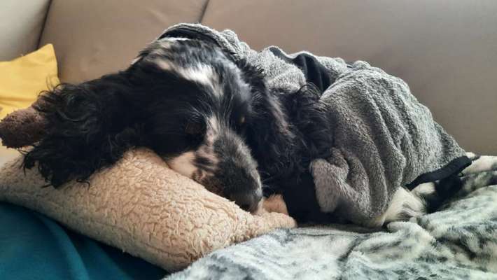 Koffer Packen: Spezial Weihnachtsedition-Beitrag-Bild