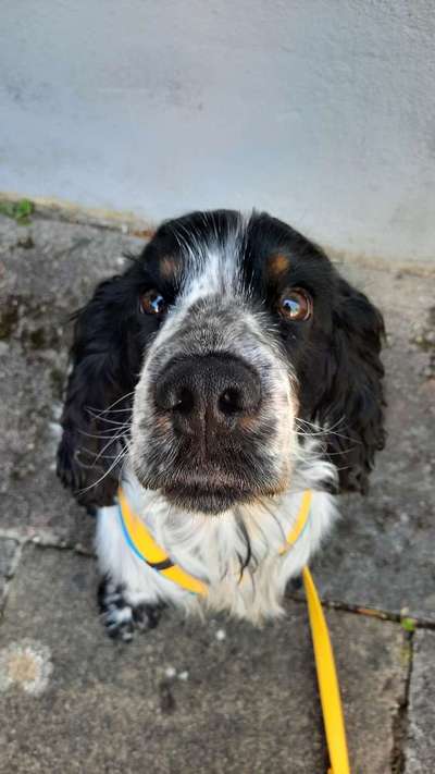 Handy-Foto Challange Nr. 10-Beitrag-Bild