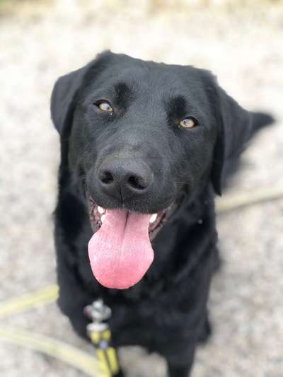 Immer lächeln !-Beitrag-Bild