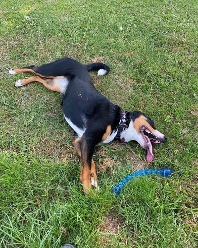 GEFAHR STÖCKCHEN SPIELEN!-Beitrag-Bild