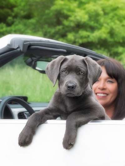 Dogorama Foto Challenge - Bestes gestelltes Bild-Beitrag-Bild