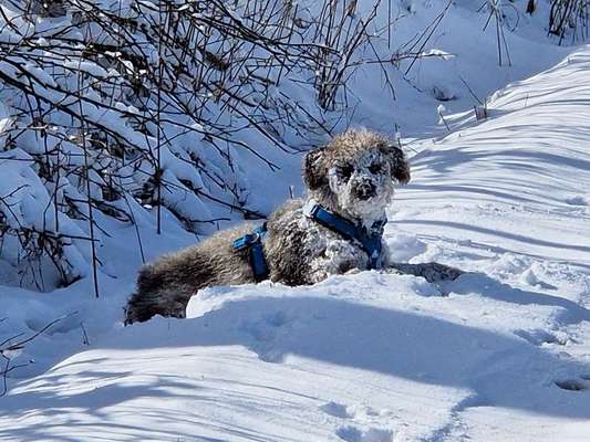 Lustige Grimassen & verrückte Posen-Beitrag-Bild