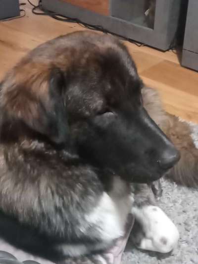 23. Collagen-Challenge: Portraits-Beitrag-Bild