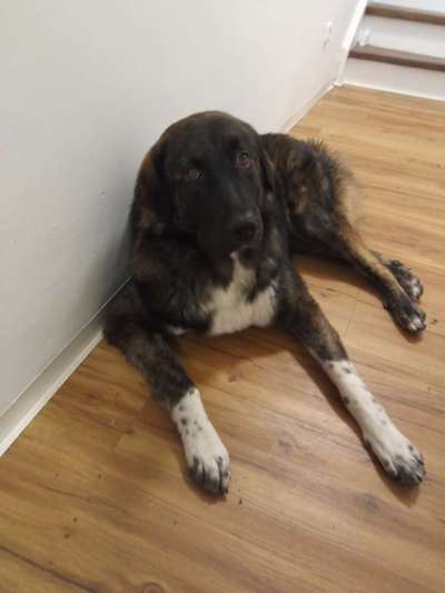 23. Collagen-Challenge: Portraits-Beitrag-Bild