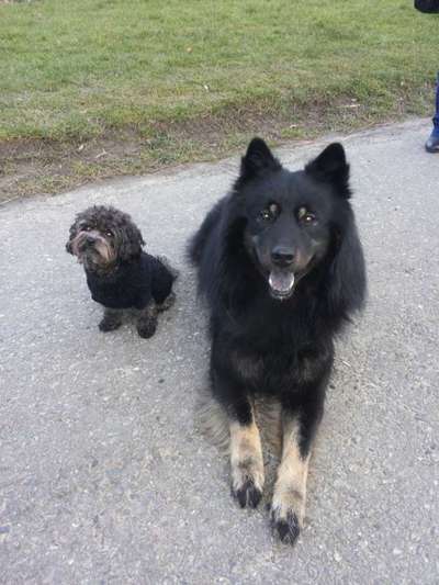 Fotochallenge liebespaare-Beitrag-Bild