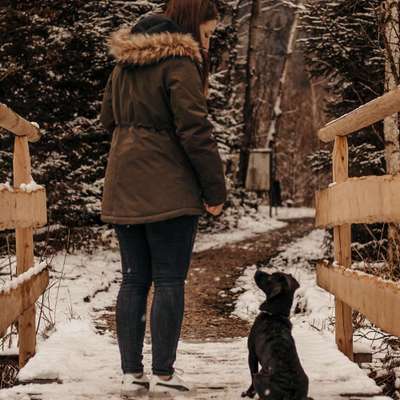 Hundetreffen-Gassi gehen-Profilbild