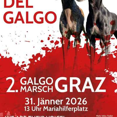 Hundetreffen-2. Grazer Galgomarsch-Bild