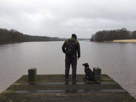 Hundmenschfotos-Beitrag-Bild