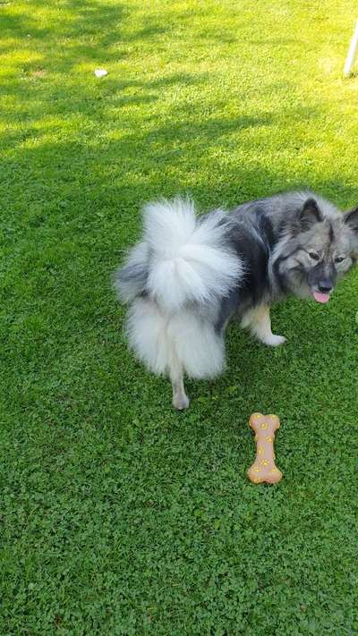 Lieblingsbild-Beitrag-Bild