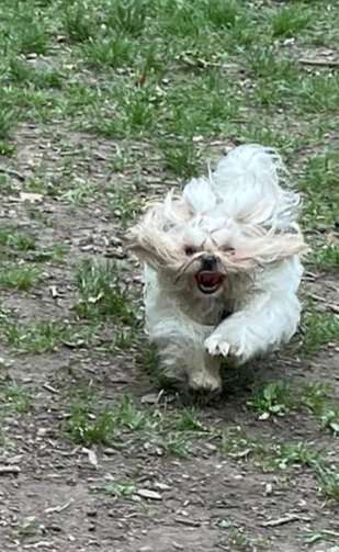 Her mit dem Grimassen-Beitrag-Bild