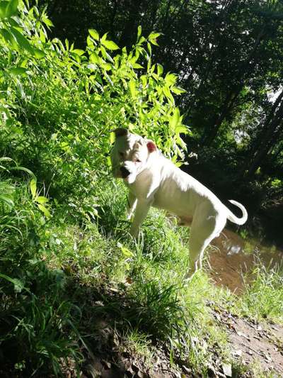 Fotochallenge No. 26                                     Wald und Wiese-Beitrag-Bild