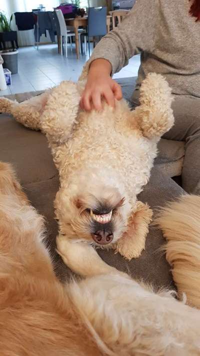 Her mit dem Grimassen-Beitrag-Bild