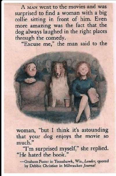 Hunde Memes-Beitrag-Bild