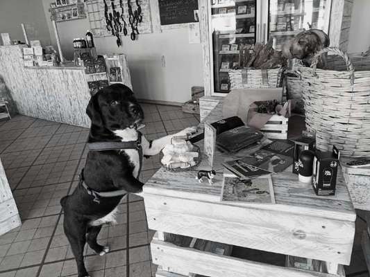 FarbenFoto - Challenge: Sepia-Beitrag-Bild