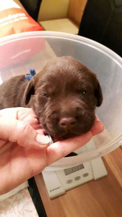 Erstes Bild-Beitrag-Bild