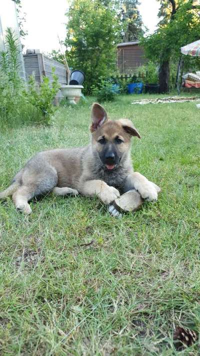 Sie werden so schnell erwachsen ...-Beitrag-Bild