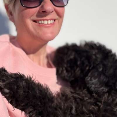 Hundetreffen-🐶 Trainingspartner für Hundesozialisierung gesucht-Bild