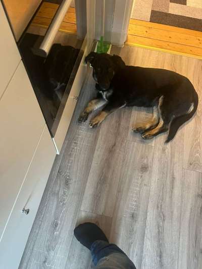 Alles ist so spannend!-Beitrag-Bild