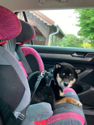 141. FOTO CHALLENGE 
Reisende soll man nicht aufhalten-Beitrag-Bild