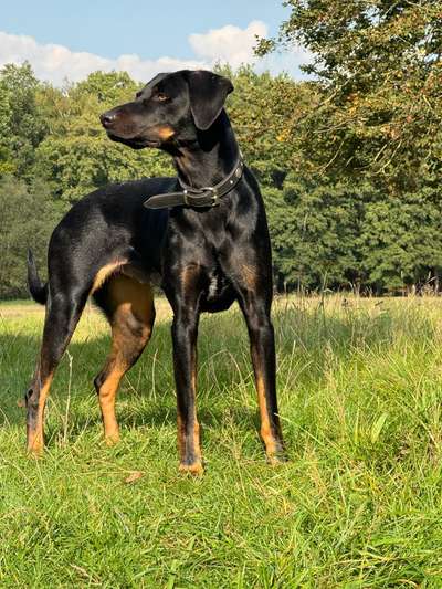 Lieblingsbild-Beitrag-Bild