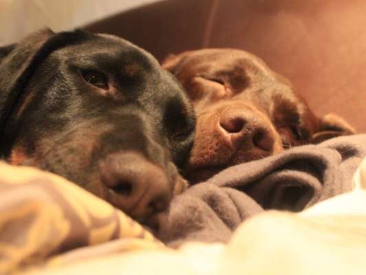 Lieblingsbild-Beitrag-Bild