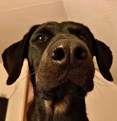 Lieblingsbild-Beitrag-Bild