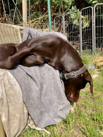 23. Handy Foto-Challenge-Beitrag-Bild