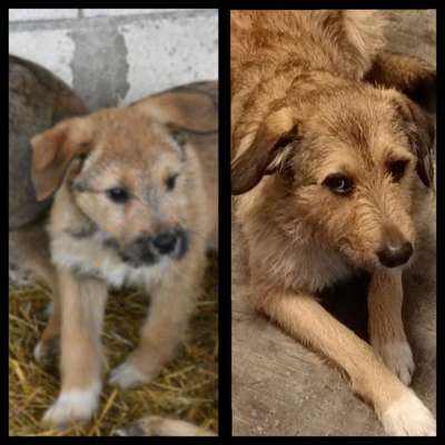 28. Handy-Fotochallenge - Damals und heute-Beitrag-Bild