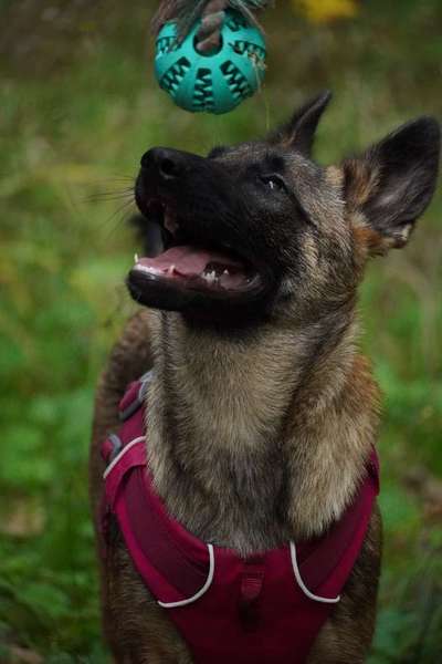 Austausch zur Fotografie-Beitrag-Bild