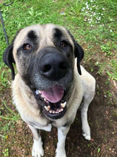 Fotowettbewerb Natur-Beitrag-Bild