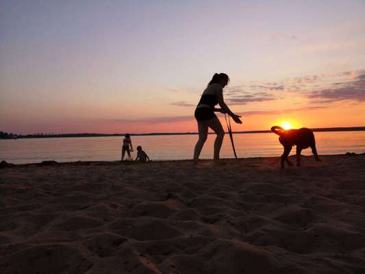 Hundmenschfotos-Beitrag-Bild