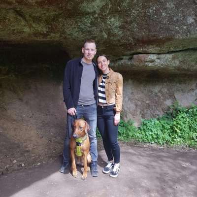 Hundetreffen-Spiel und/oder Gassirunde-Profilbild