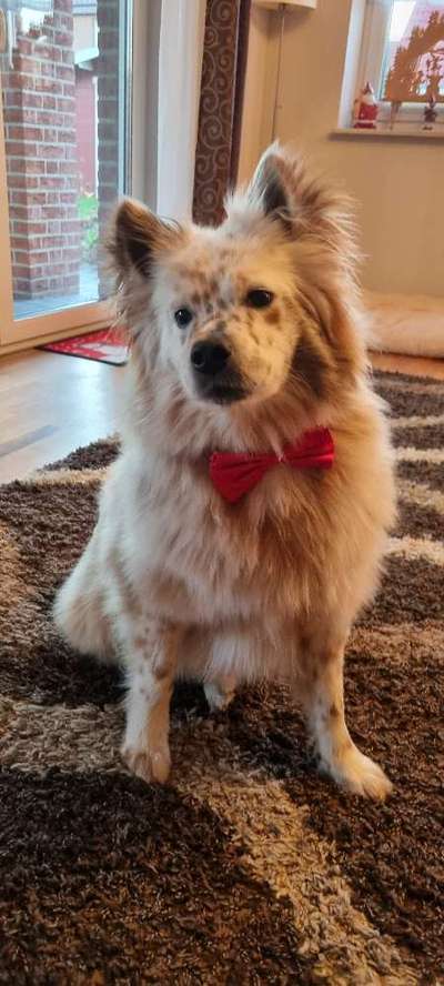 It's beginning to look a lot like.....-Beitrag-Bild