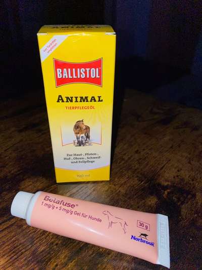 Hot Spot-Beitrag-Bild