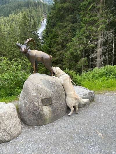 Die Dogorama Wochen Challenge: “Dein Hund im Urlaub”-Beitrag-Bild