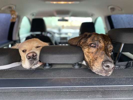 Fotochallenge Nr. 67: Euer Lieblingsbild-Beitrag-Bild