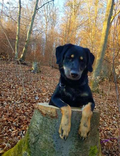 Foto Challenge Nr. 79-Beitrag-Bild